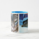 Abessinikatzen Tasse (Zentrum)