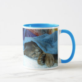 Abessinikatzen Tasse