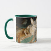 Abessinikatzen Tasse (Links)