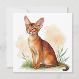 Abessinische Katze umgeben von sanften Farben und  Einladung