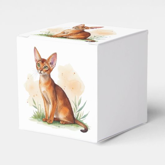 Abessinische Katze umgeben von sanften Farben und Geschenkschachtel (Vorderseite)