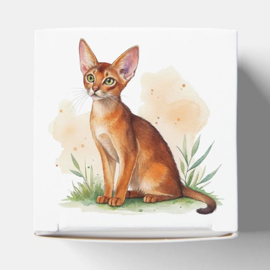 Abessinische Katze umgeben von sanften Farben und Geschenkschachtel (Oben)