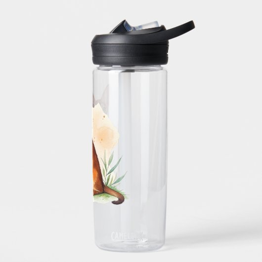 Abessinische Katze umgeben von sanften Farben und Trinkflasche (Links)