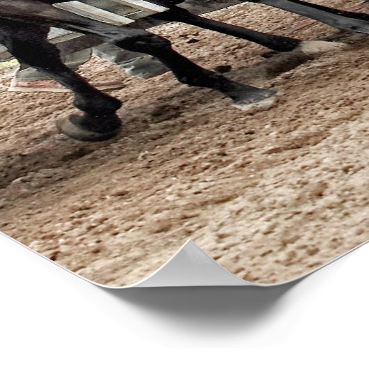 abfahren poster (Ecke)