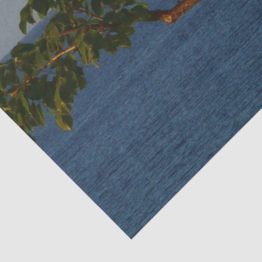 Abfahrt bei Sunset I Cruise Vacation Seidenpapier (Detail)