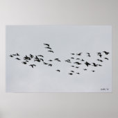 Abfahrt um 1 poster (Vorne)