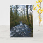 Abfahrt von Bridal Veil Falls, Oregon Karte (Gelbe Blume)