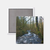 Abfahrt von Bridal Veil Falls, Oregon Magnet (Vorderseite/Rückseite)