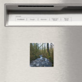 Abfahrt von Bridal Veil Falls, Oregon Magnet (In Situ (Geschirrspüler))