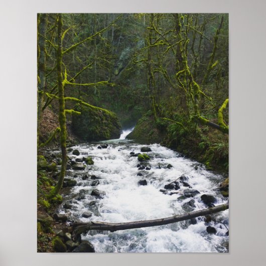 Abfahrt von Bridal Veil Falls, Oregon Poster (Vorne)