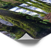 Abfahrt von Bridal Veil Falls, Oregon Poster (Ecke)