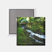 Abfahrt von Wahkeena Falls, Oregon Magnet (Vorderseite/Rückseite)