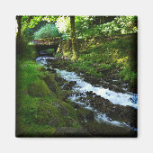 Abfahrt von Wahkeena Falls, Oregon Magnet (Vorne)