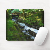 Abfahrt von Wahkeena Falls, Oregon Mousepad (Mit Mouse)