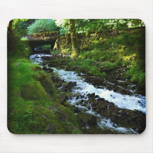 Abfahrt von Wahkeena Falls, Oregon Mousepad (Vorne)