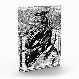 Abfahrtslinien-Illustration Acrylblock Fotoblock