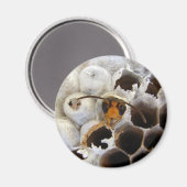 Abfall aus dem Nestmagnet Magnet (Vorderseite/Rückseite)