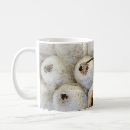 Abfall aus der Tasse des Nestbugs (Links)