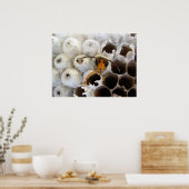 Abfall aus Nestplakat Poster (Küche)