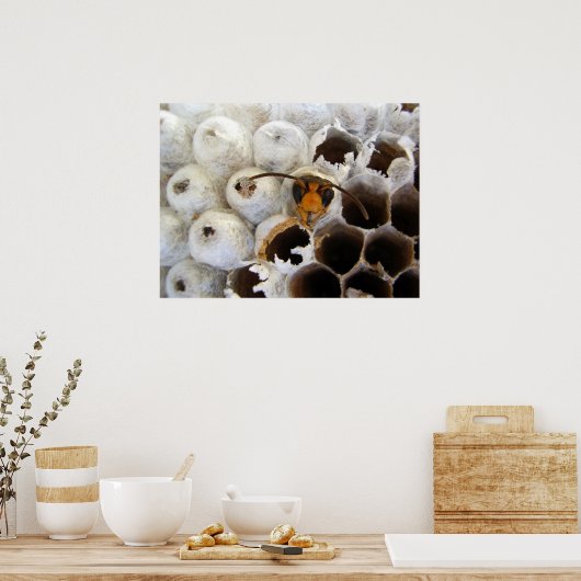 Abfall aus Nestplakat Poster (Küche)