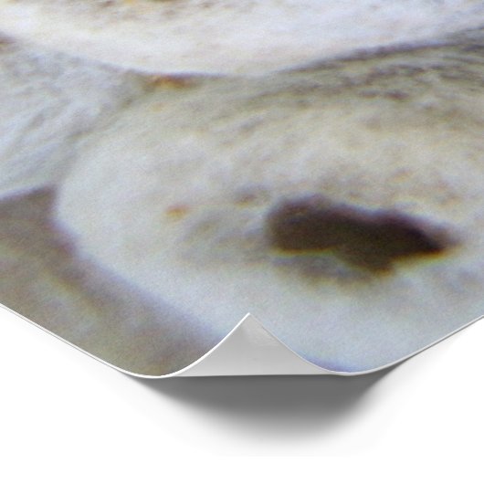 Abfall aus Nestplakat Poster (Ecke)