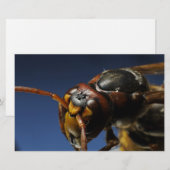 Abfall Briefpapier (Vorne/Hinten)