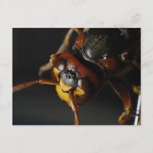 Abfall Postkarte