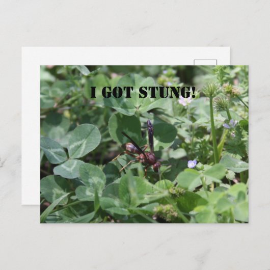 Abfall Postkarte (Vorne/Hinten)