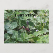 Abfall Postkarte (Vorderseite)