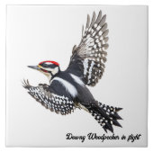 Abflug von Woodpecker Fliese (Vorderseite)