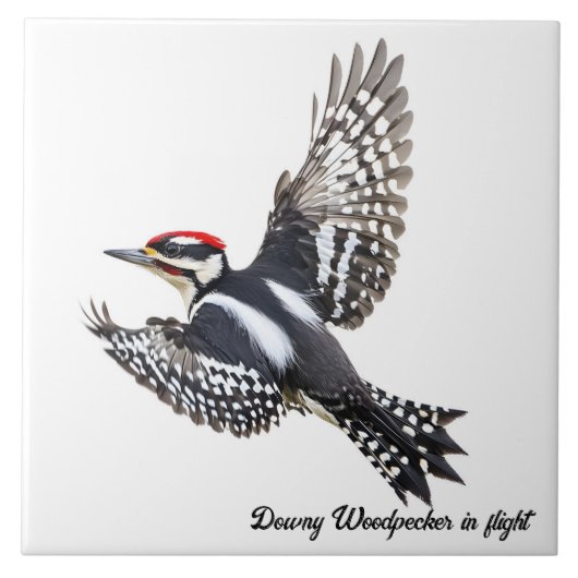 Abflug von Woodpecker Fliese (Vorderseite)