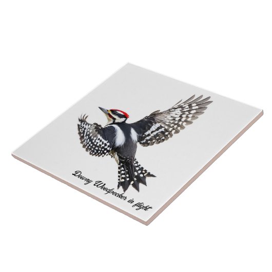 Abflug von Woodpecker Fliese (Seite)