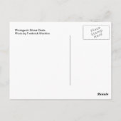 Abfluss von fotogenen Sturmen Postkarte (Rückseite)