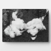 Abflussplatte Fotoplatte (Vorderseite)