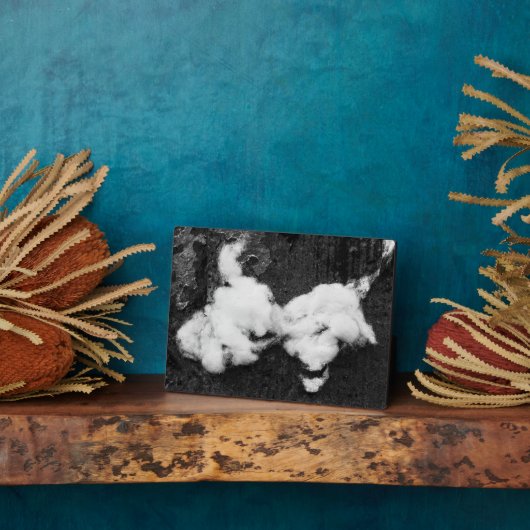 Abflussplatte Fotoplatte (Seite)