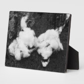 Abflussplatte Fotoplatte (Seite)