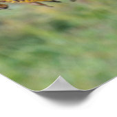 Abgeblendete Sonnenblume Nah Poster (Ecke)