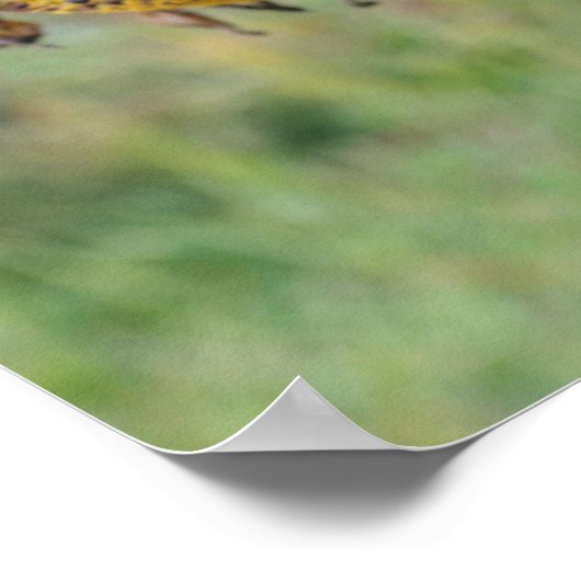 Abgeblendete Sonnenblume Nah Poster (Ecke)