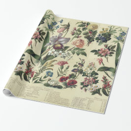 Abgeblendete Vintage Blume Botanicals Geschenkpapier
