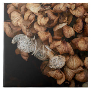 Abgeblendetes Hydrangea Fliese