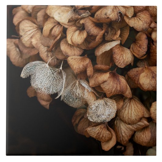 Abgeblendetes Hydrangea Fliese (Vorderseite)