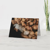 Abgeblendetes Hydrangea Karte (Vorderseite)