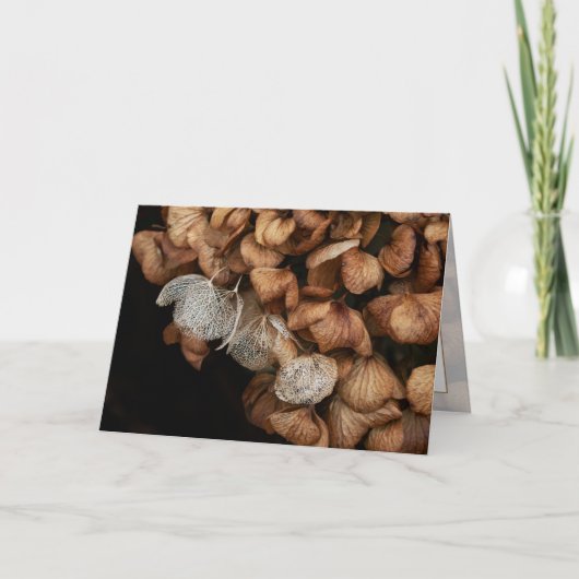 Abgeblendetes Hydrangea Karte (Vorderseite)