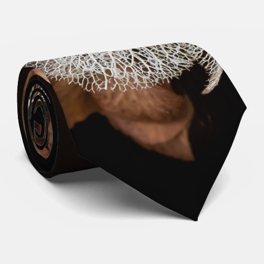 Abgeblendetes Hydrangea Krawatte (Gerollt)