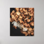 Abgeblendetes Hydrangea Leinwanddruck (Vorderseite)