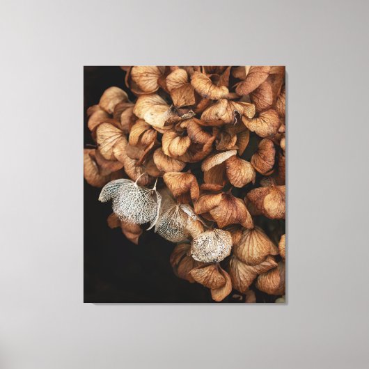 Abgeblendetes Hydrangea Leinwanddruck (Vorderseite)