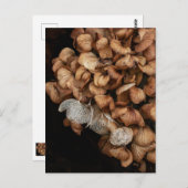 Abgeblendetes Hydrangea Postkarte (Vorne/Hinten)