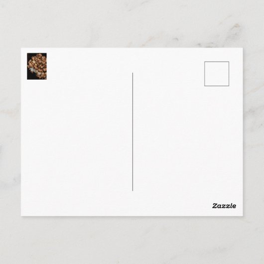 Abgeblendetes Hydrangea Postkarte (Rückseite)