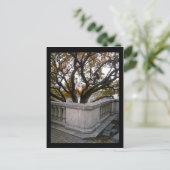 abgegrenztes Aquarium: Herbst Postkarte (Stehend Vorderseite)