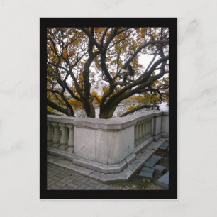 abgegrenztes Aquarium: Herbst Postkarte